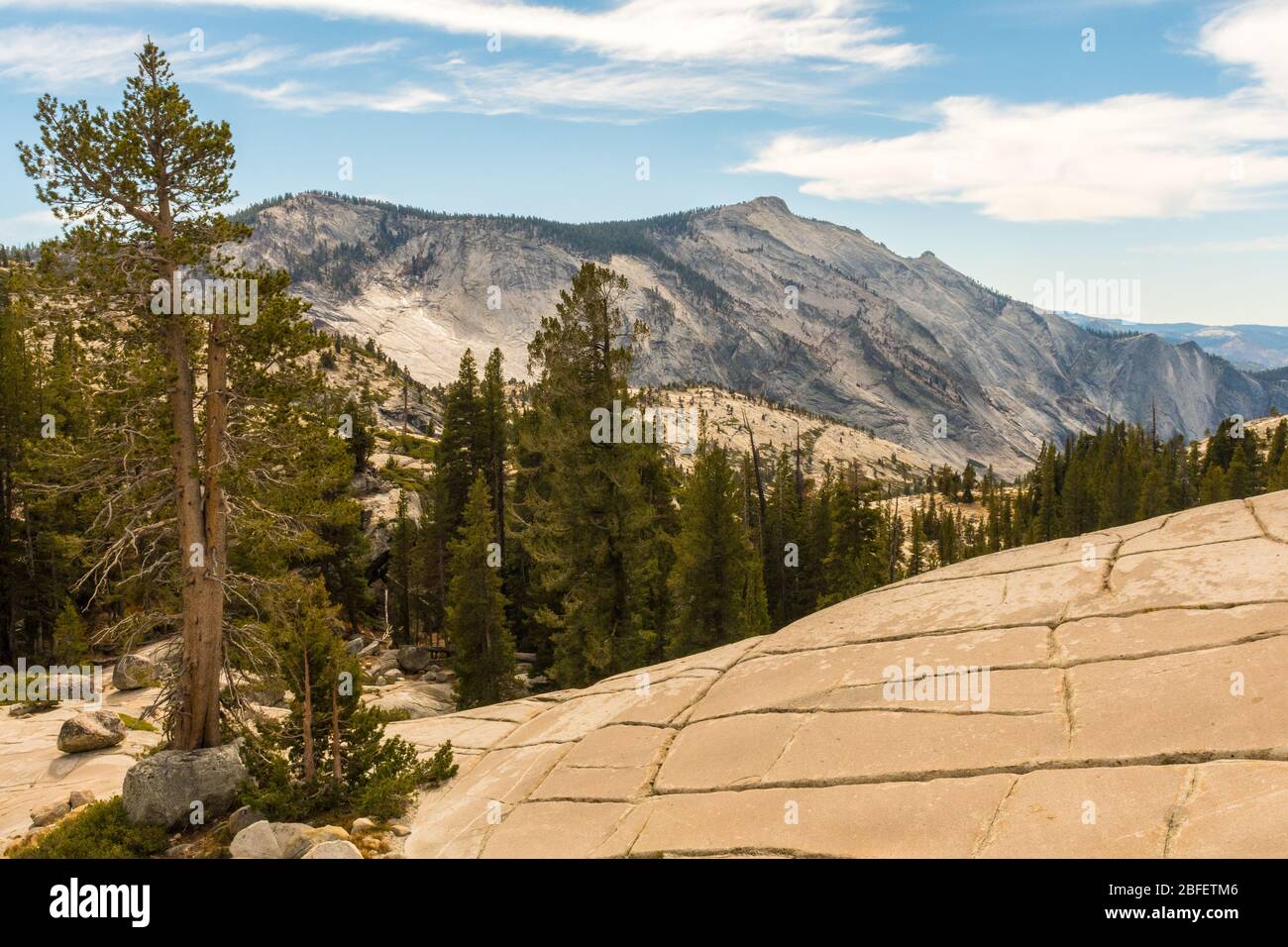 Vue depuis Olmsted point de l'environnement naturel du parc national de Yosemite, Californie, États-Unis Banque D'Images