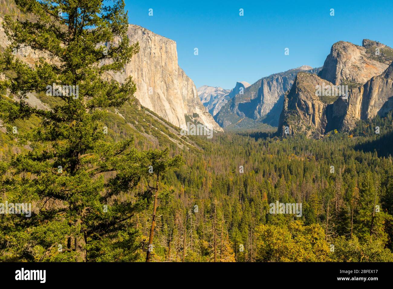 Point de vue sur le tunnel dans le parc national de Yosemite avec El Capitan, Cathedral Rocks et le Half Dome en arrière-plan Banque D'Images