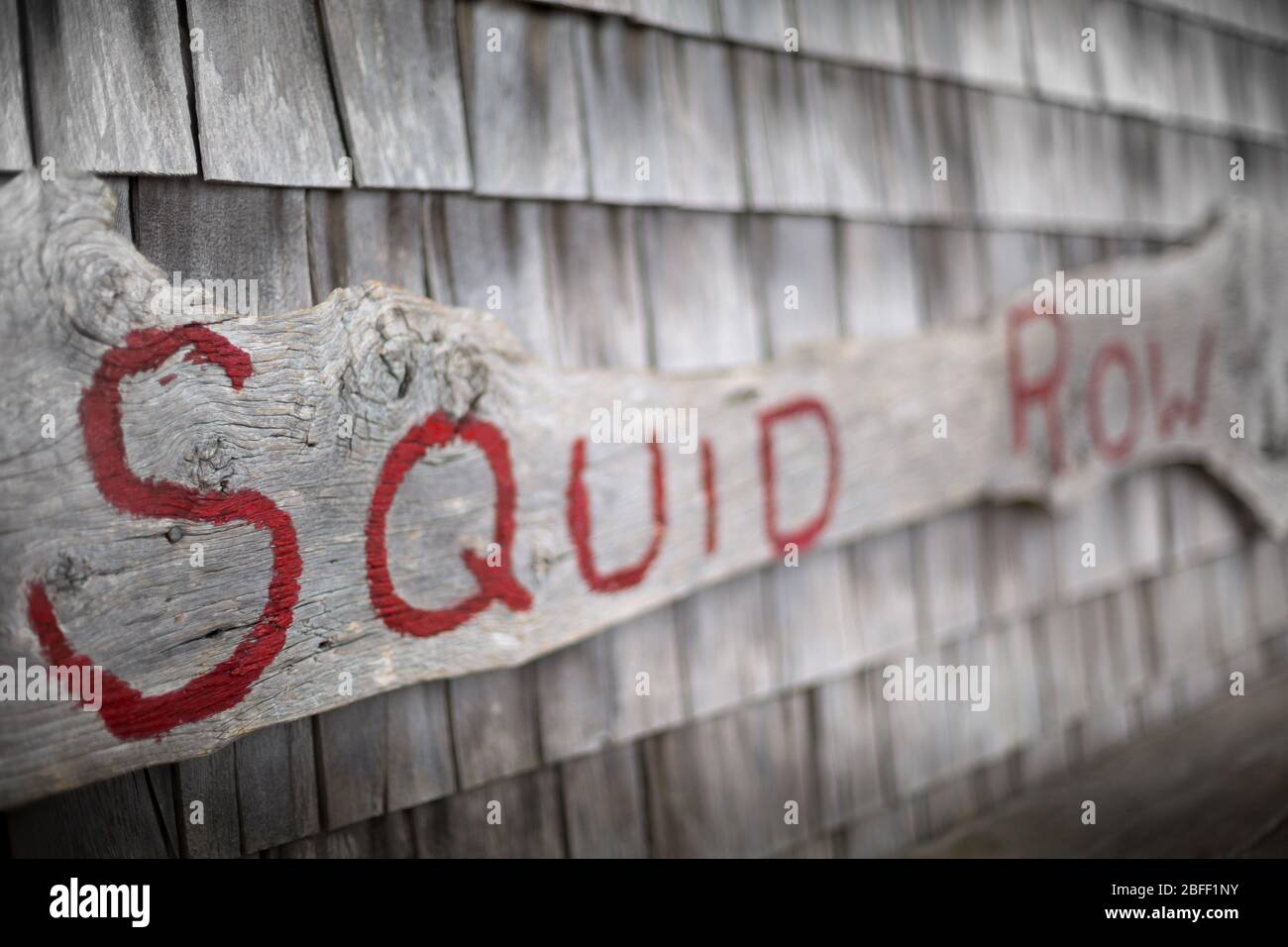 Un vieux panneau de pêche en bois a lu ' squid row'. Banque D'Images Un vieux panneau de pêche en bois a lu ' squid row'. Banque D'Images