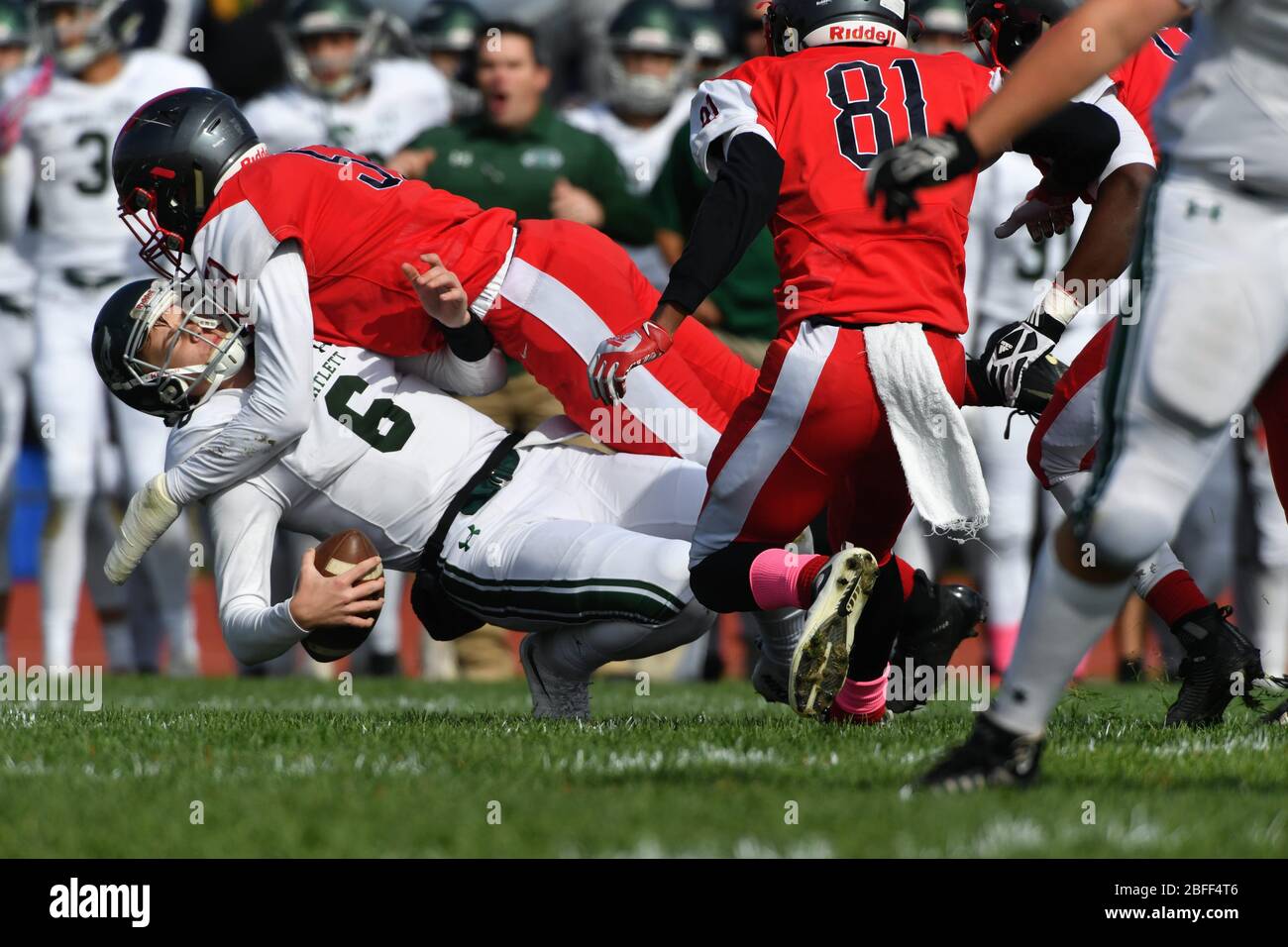 Linebacker qui termine un sac en slaming le quarterback opposé à la pelouse. ÉTATS-UNIS. Banque D'Images