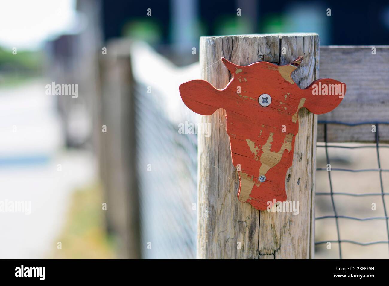 Tête de vache en bois à l'eau orange fixée à une clôture à l'entrée d'un zoo pour enfants Banque D'Images
