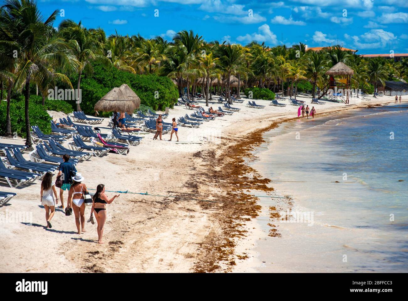 En dehors de la plage de première ligne Grand Palladium White Sand Resort  and Spa sur la Riviera Maya, Yucatan Peninsula, Quintana Roo, Caribbean  Coast, Mexique. Grand matin Photo Stock - Alamy