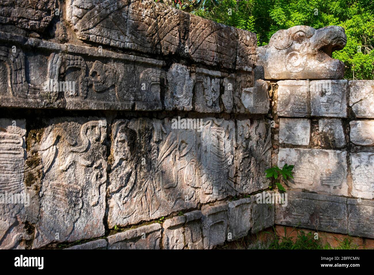 Sculpture de tête de Serpent dans la Ruin maya de Chichen Itza site archéologique dans la péninsule du Yucatan, Quintana Roo, côte des Caraïbes, Mexique Banque D'Images