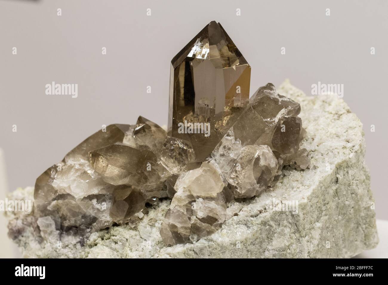 quartz fumé sur une matrice claire Banque D'Images