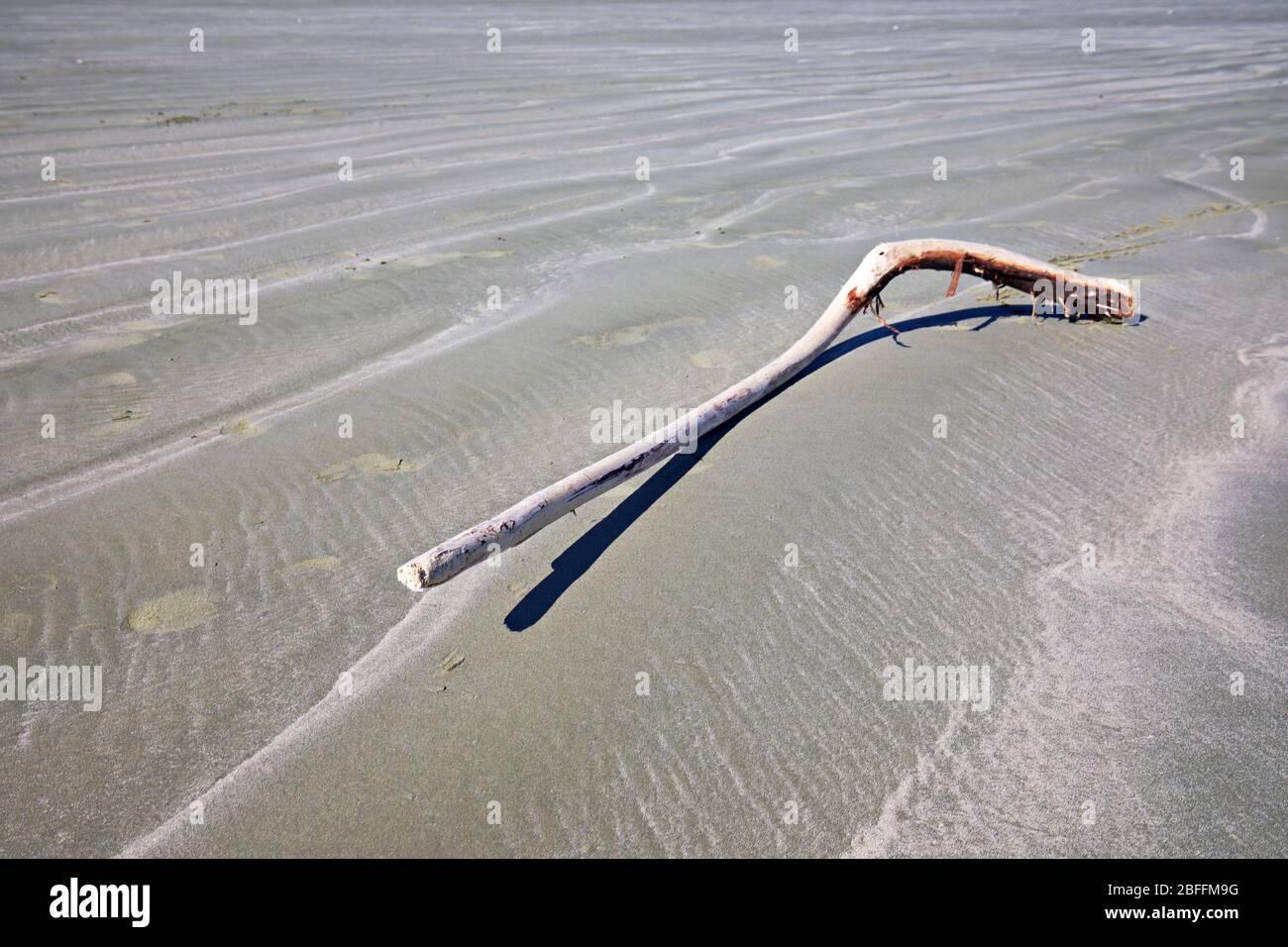 Plage de Nouvelle-Zélande Banque D'Images