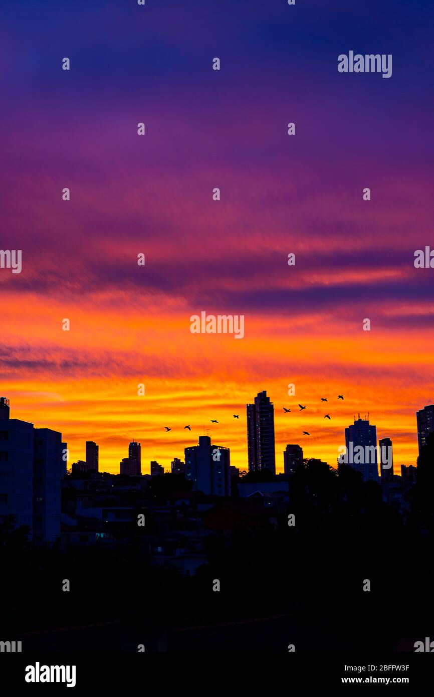Un superbe coucher de soleil sur la silhouette nocturne de la ville avec des oiseaux volant à l'heure d'or Banque D'Images