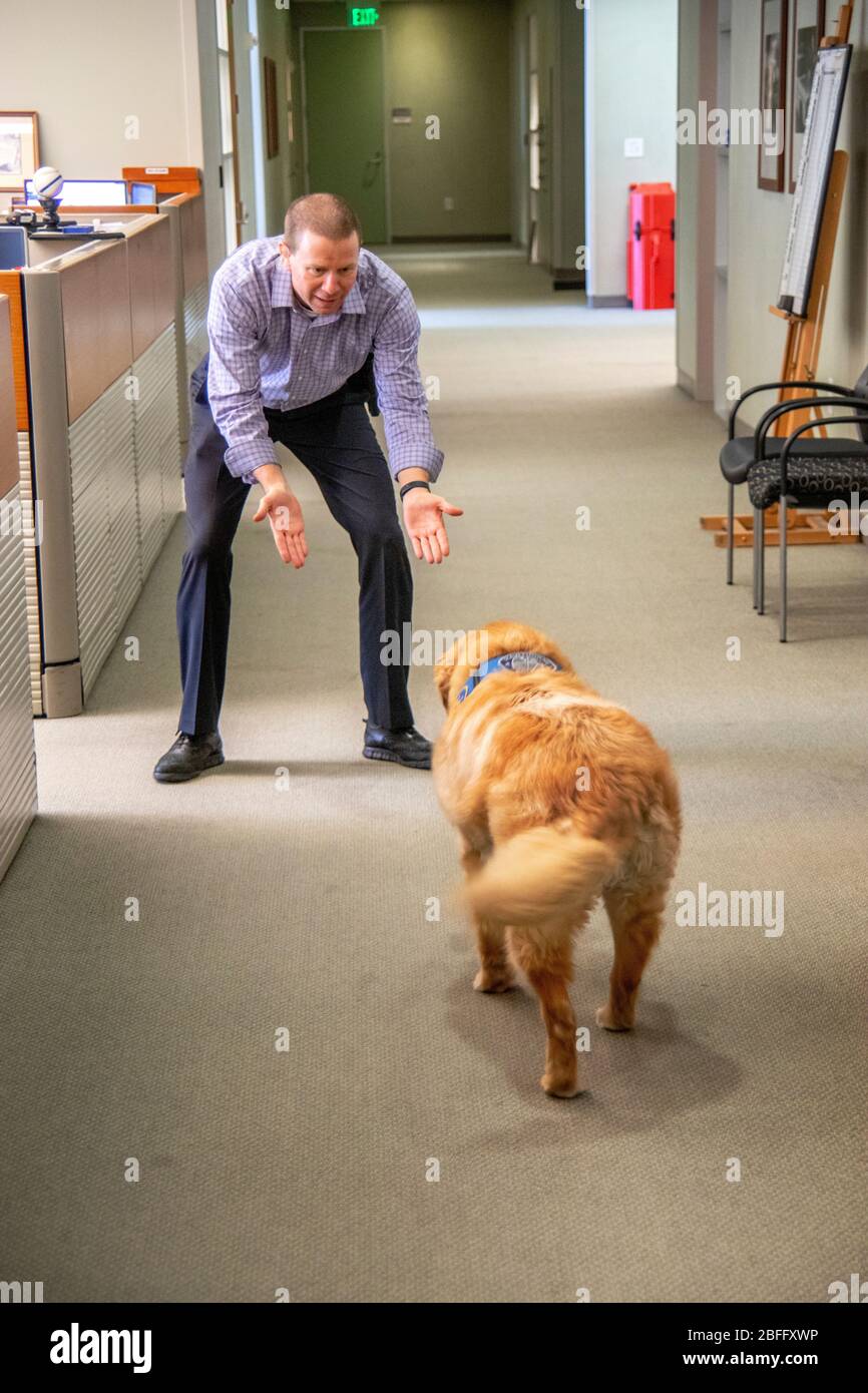 Portant sa veste officielle, un chien de confort interagit avec le personnel du service de police de Hawthorne, Californie. Banque D'Images