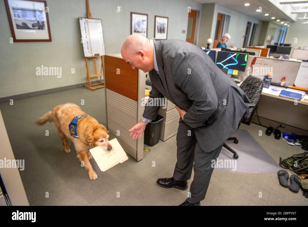 Portant sa veste officielle, un chien de confort porte un dossier lorsqu'il interagit avec le personnel du service de police de Hawthorne, en Californie. Banque D'Images
