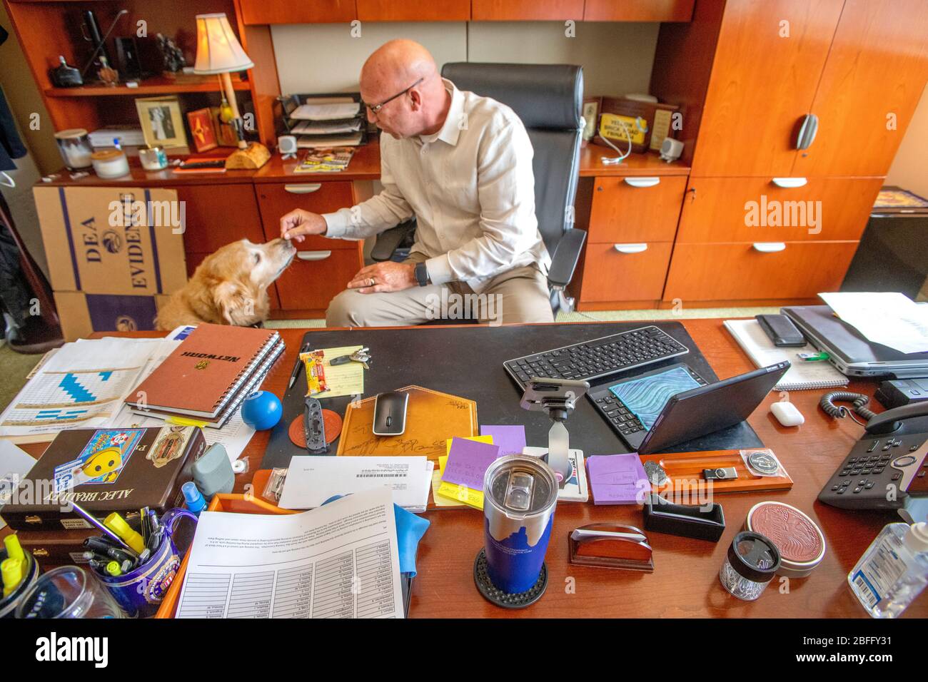 Portant sa veste officielle, un chien de confort interagit avec le personnel du service de police de Hawthorne, Californie. Banque D'Images