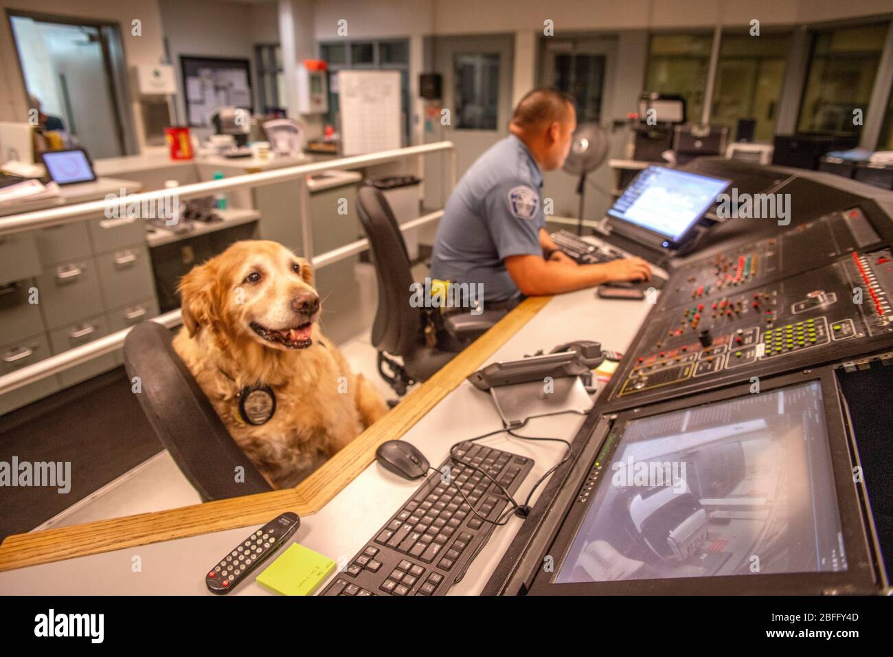 Portant sa veste officielle, un chien de confort interagit avec le personnel du service de police de Hawthorne, Californie. Banque D'Images
