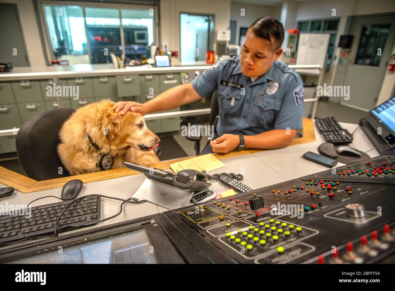 Portant sa veste officielle, un chien de confort interagit avec un répartiteur radio du service de police à Hawthorne, Californie. Banque D'Images