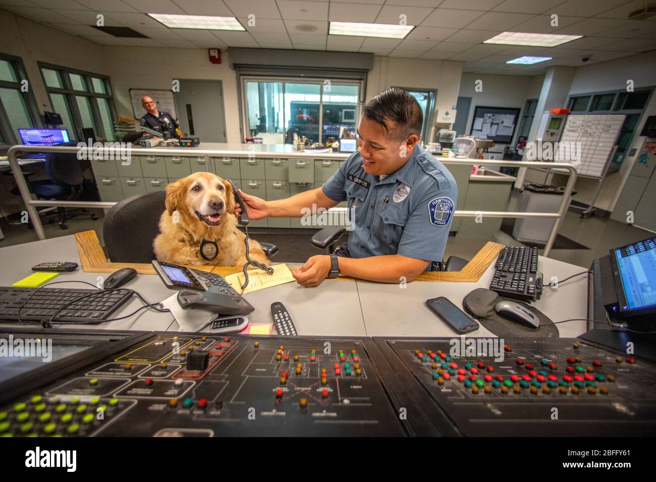 Portant sa veste officielle, un chien de confort interagit avec un répartiteur radio du service de police à Hawthorne, Californie. Banque D'Images