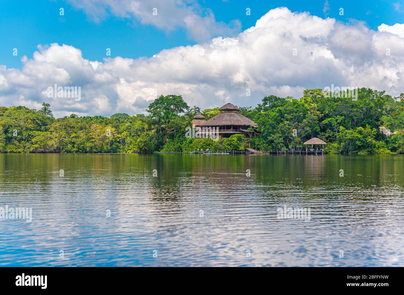 Réflexion de Rainforest Lodge. Forêt tropicale amazonienne située au Suriname, au Guyana, au Guyana, au Venezuela, en Colombie, en Équateur, au Pérou, en Bolivie et au Brésil. Banque D'Images