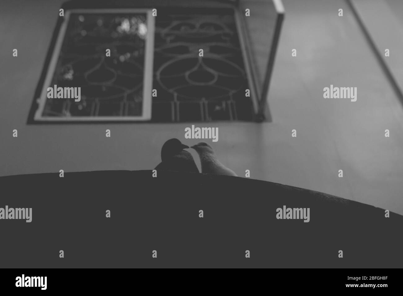 Les fleurs colorées fleurissent quand il est lumineux dans mon jardin Banque D'Images