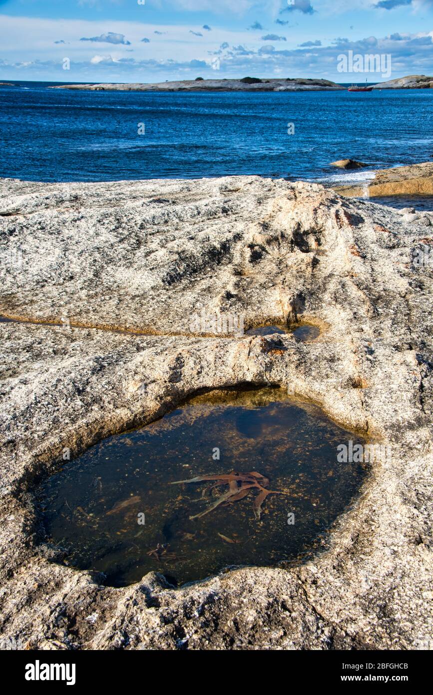 Côte accidentée de Bisheno en Tasmanie avec piscine en pierre d'avant-plan claire qui hante varech. Banque D'Images