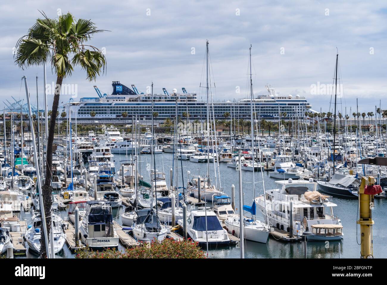 NCL Jewel bateau de croisière amarré pour obtenir des approvisionnements à San Pedro, CA, alors qu'ils attendent les restrictions de voyage en raison de la crise de Covid-19 Banque D'Images
