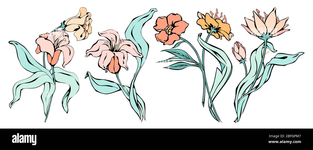 Line art lilas fleurs silhouette ensemble, illustration vectorielle isolée sur fond blanc. Illustration de Vecteur