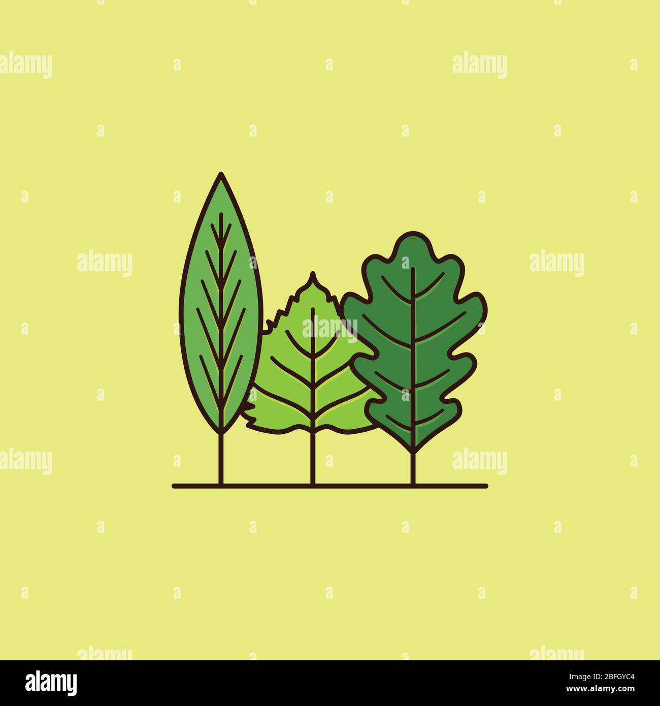Variété de feuilles ressemblant à une petite illustration vectorielle forestière pour Arbor Day le 24 avril. Symbole de la nature et de l'environnement. Illustration de Vecteur