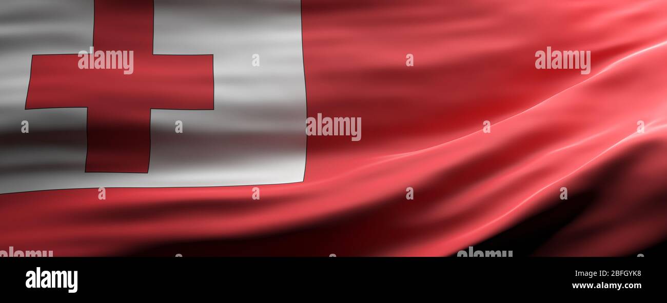 Symbole des Tonga, drapeau national qui agrée la texture fond, langue, concept culturel, bannière. illustration tridimensionnelle Banque D'Images