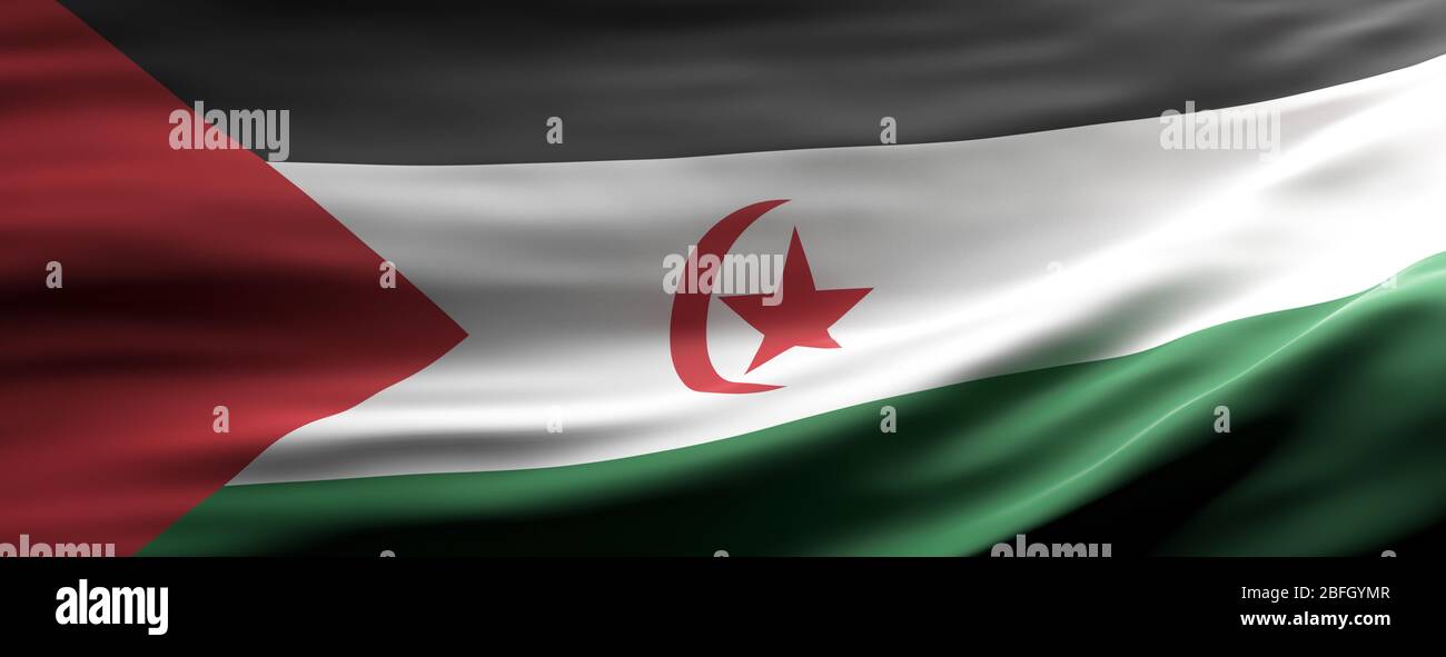 Symbole du signe du Sahara occidental, drapeau national qui agrée la texture fond, la langue, le concept culturel, la bannière. illustration tridimensionnelle Banque D'Images