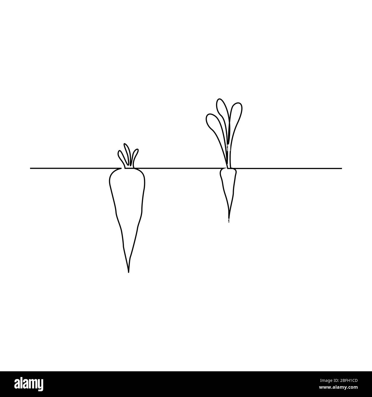 Carotte continue d'une ligne dans le sol . Deux carottes avec une petite et grande pousse. Les apparences sont trompeuses. Illustration du stock vectoriel. Illustration de Vecteur