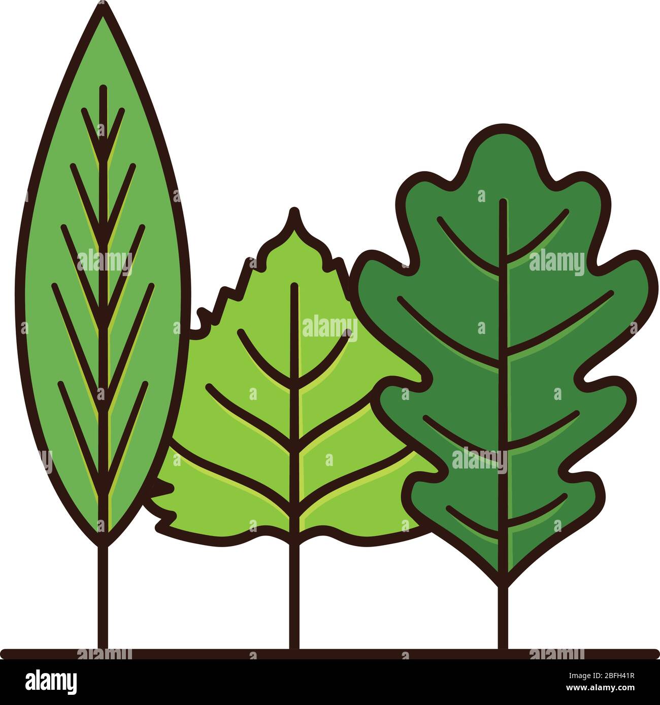 Variété de feuilles ressemblant à une petite forêt isolée illustration vectorielle pour Arbor Day le 24 avril Illustration de Vecteur