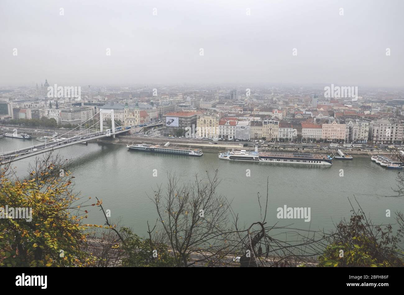 Budapest, Hongrie - 6 novembre 2019 : paysage urbain de la capitale hongroise avec Danube et pont Elisabeth. La vieille ville en arrière-plan. Jour de pluie couvert. Arbres d'automne en premier plan. Photo horizontale. Banque D'Images