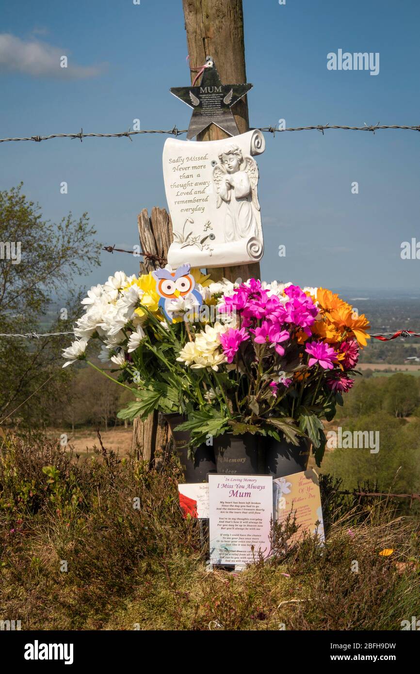 Royaume-Uni, Angleterre, Staffordshire, Mow COP, Cheshire’s Close, Fête des mères avec fleurs sur un endroit surélevé donnant sur la plaine du Cheshire Banque D'Images