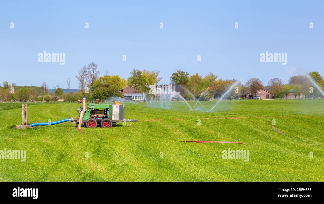 Réseau sprinkleur pour l'irrigation des terres agricoles contre la sécheresse Banque D'Images