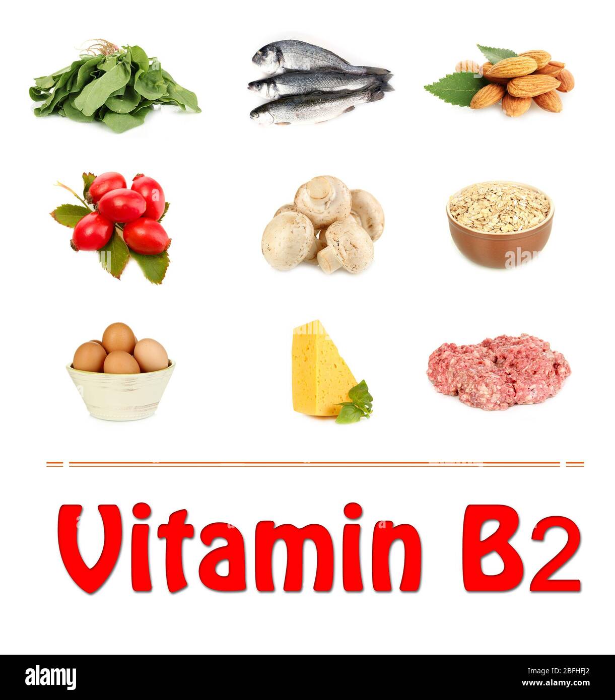 Produits contenant de la vitamine B2 Banque D'Images