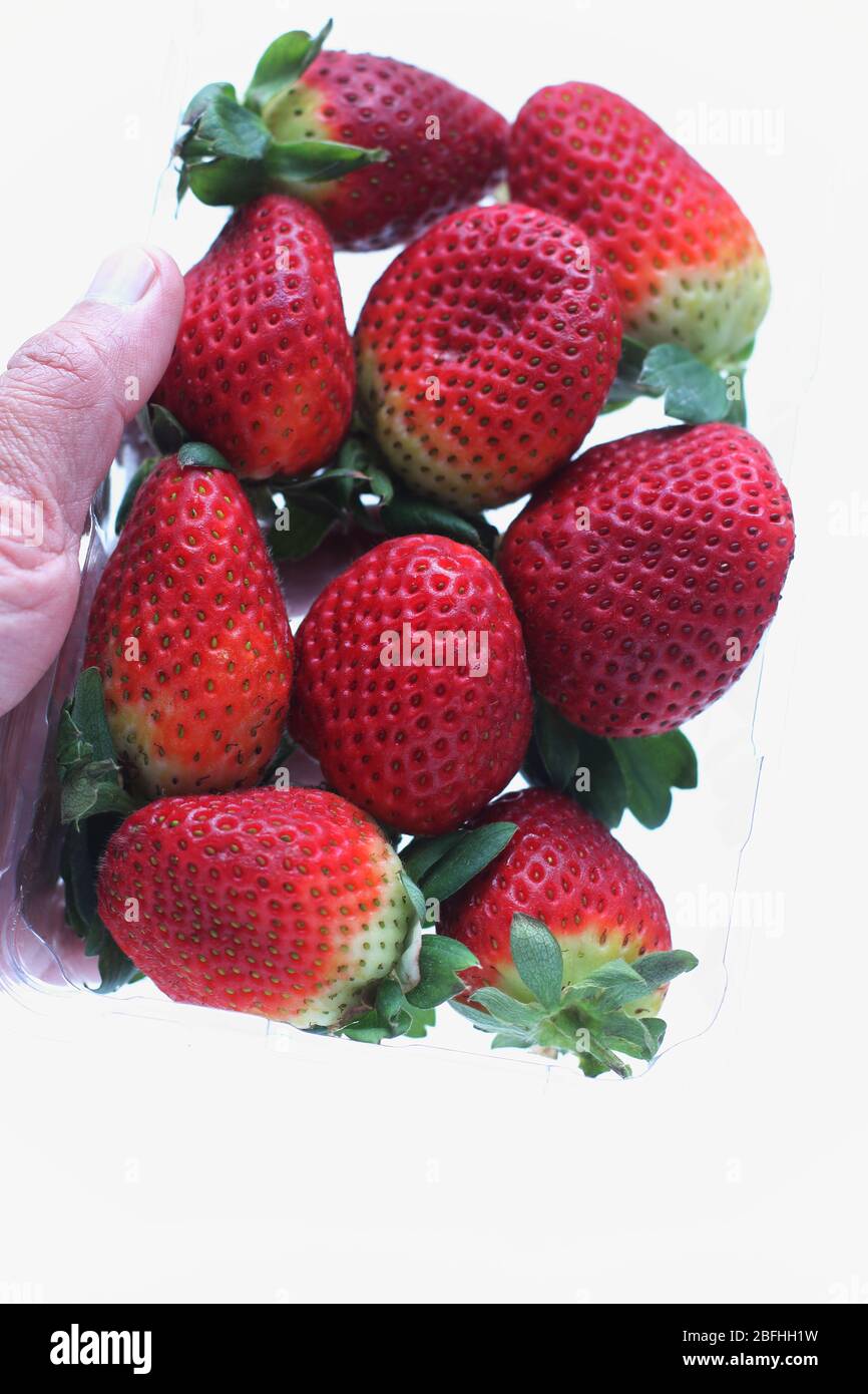 Gros plan de fraises fraîches isolées sur fond blanc Banque D'Images
