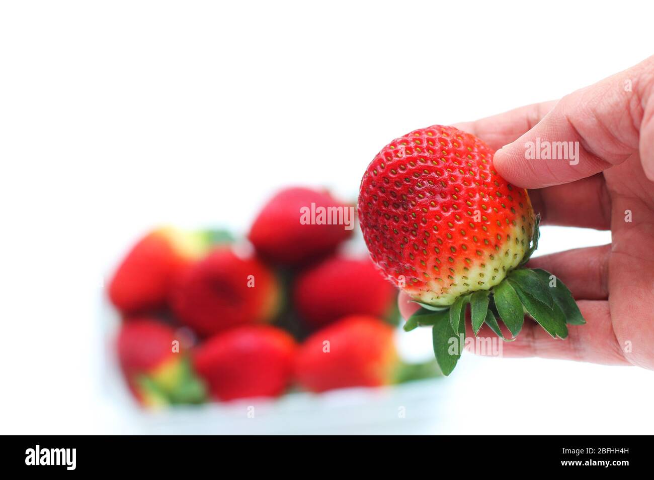 Gros plan tenant main fraisier frais isolé sur fond blanc Banque D'Images