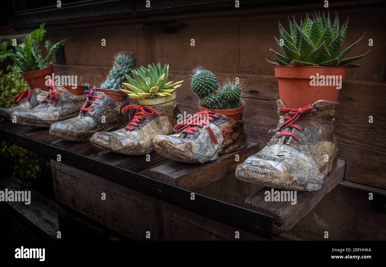 bottes recyclées avec pots et plantes à l'intérieur Banque D'Images