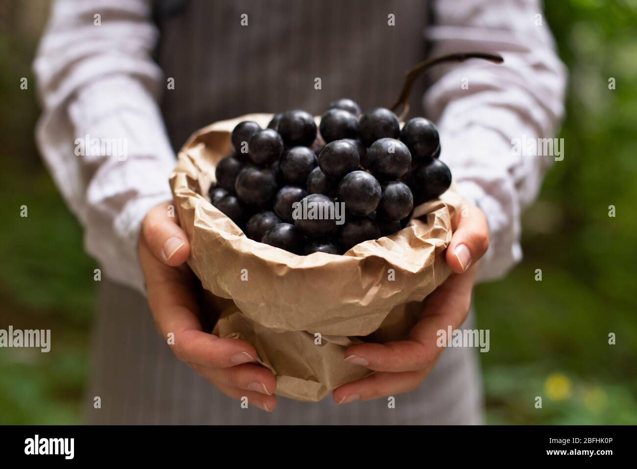 L'homme de livraison apporte la branche de raisin bleu à l'intérieur du sac en papier éco Banque D'Images