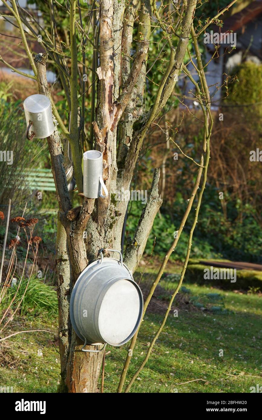 Kreiver Gartenbaum mit aufgehängten Wasserkannen und mehr - eine Ordnungsbaum - eine Sammelstelle Banque D'Images