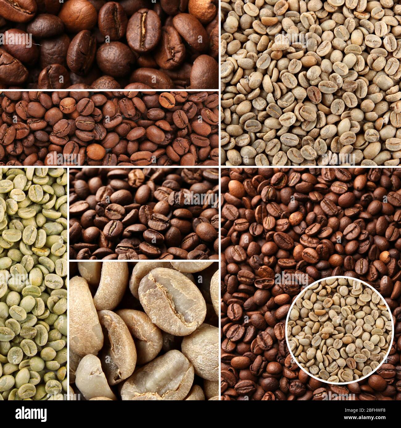 Collage de grains de café différents Banque D'Images