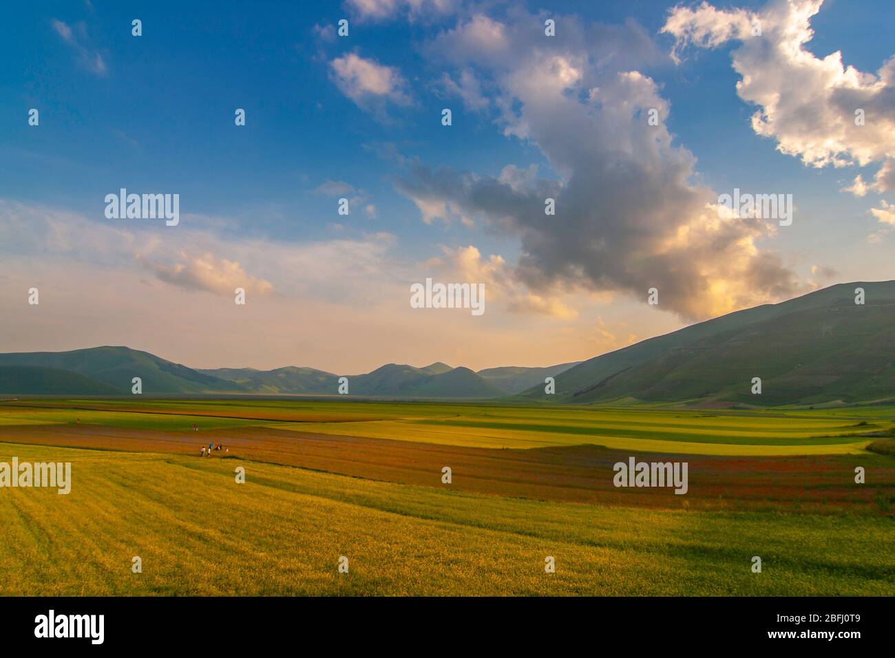 Vue panoramique du Piani di Castelluccio (centre de l'Italie) Banque D'Images