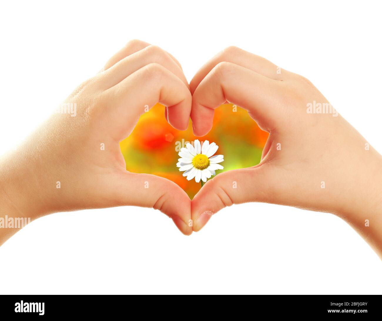 Belle fleur en coeur formée par les mains d'enfant isolées sur blanc Photo  Stock - Alamy