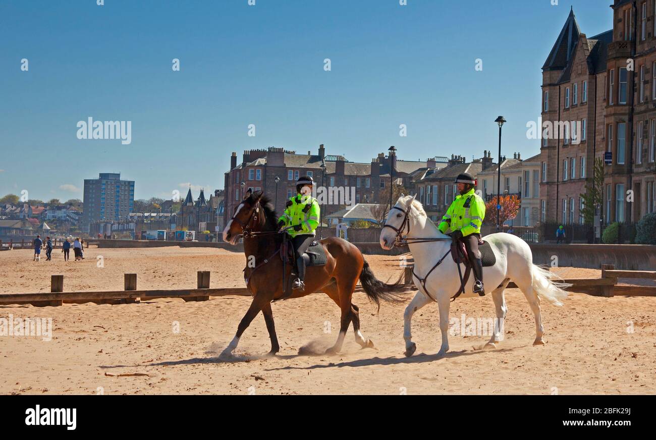 Plage de Portobello, Édimbourg, Écosse. 19 avril 2020. La police à cheval amicale avec les chevaux appelés Logie et Edimbourg la police blanche, faisant leur patrouille quotidienne de la Promenade et de la plage par temps ensoleillé lumineux moins de gens qu'hier que le Lockdown de Coronavirus continue, Cependant, la Promenade était animée avec des cyclistes comme toujours plus que la plage, bien que la plage de sable puisse être plus facile pour les marcheurs à s'isoler. Température de 10 degrés avec un vent ENE de 17 km/h de rafale potentielle de 33 km/h. Crédit: Arch White/Alay Live News. Banque D'Images