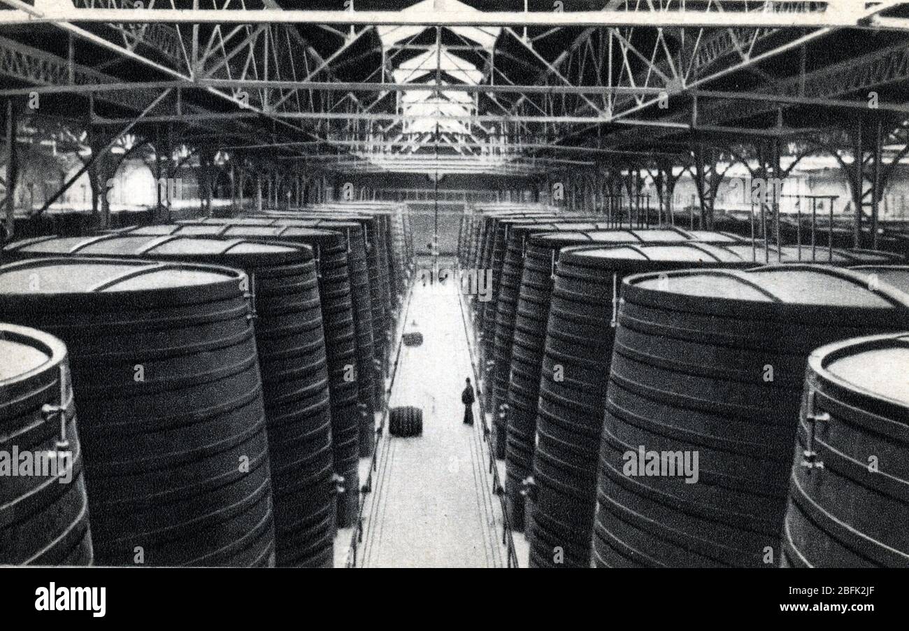 Vue interieure des usines Byrh, fabriquant du Vermouth, avec les tonneaux montagnes, un Thuir dans les Pyrénées Orientales (vue intérieure du Byrh Banque D'Images