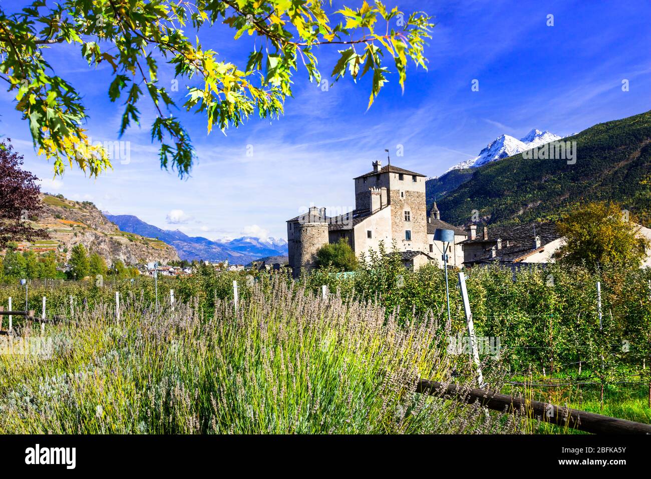 Des vignobles impressionnants et un vieux château, Sarriod de la tour, Valle d' Aosta, Italie. Banque D'Images