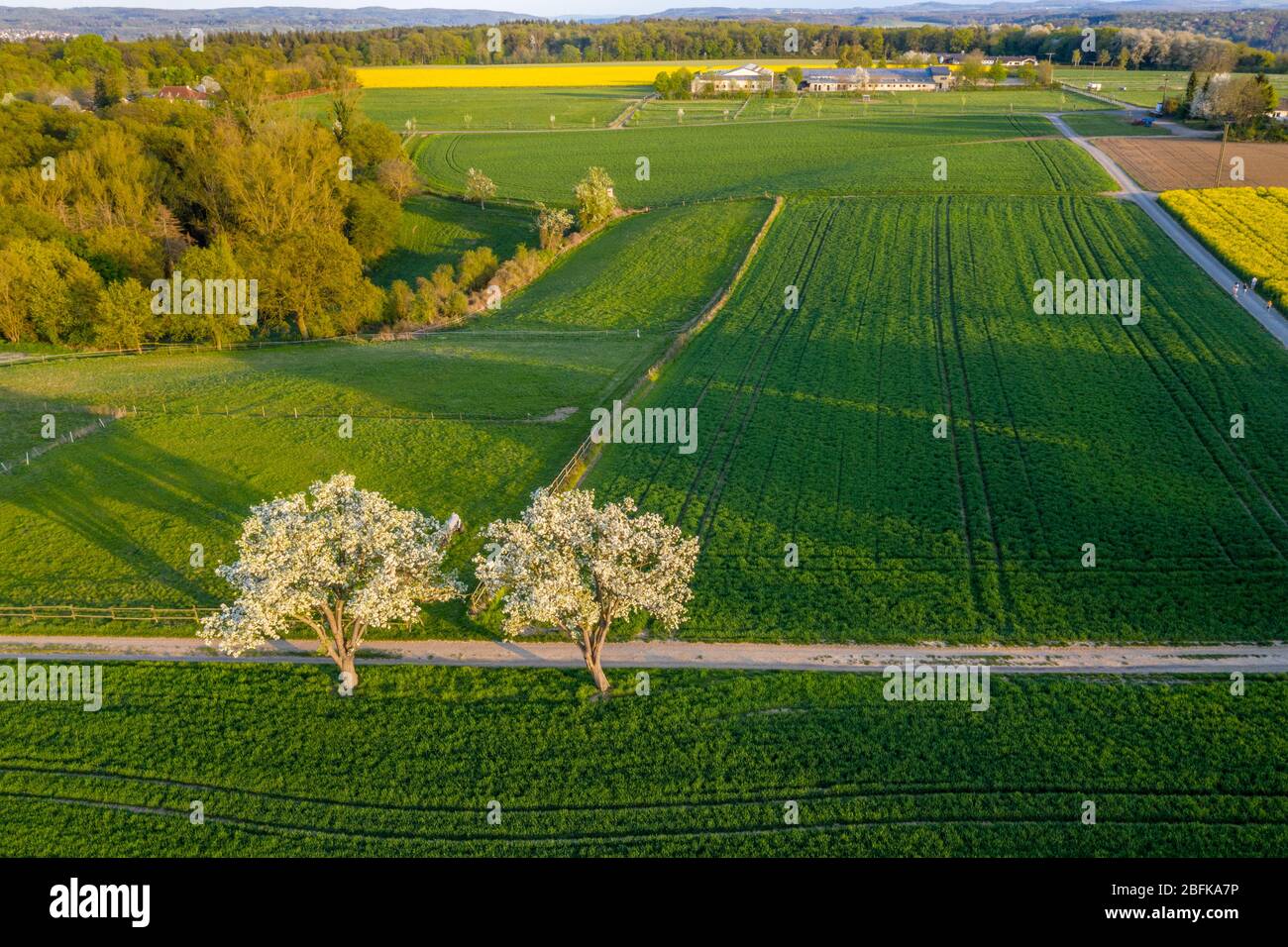 Vue aérienne de la campagne agricole de Remagen Allemagne nature Springtime Banque D'Images