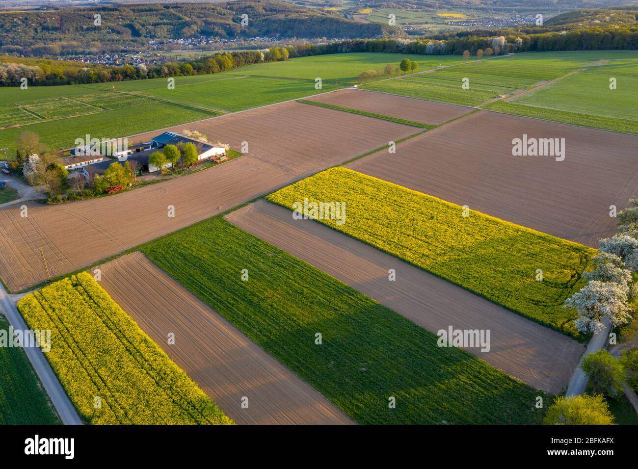 Vue aérienne du paysage des champs agricoles au printemps Remagen Allemagne Banque D'Images