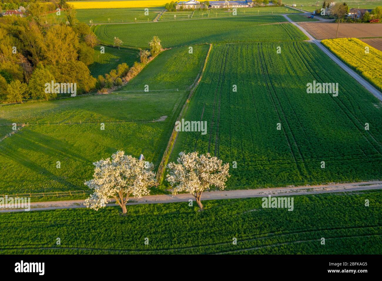 Vue aérienne du paysage des champs agricoles au printemps Remagen Allemagne Banque D'Images