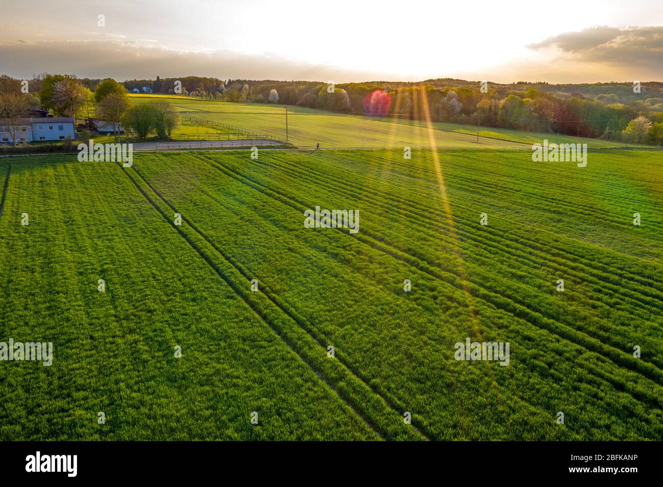 Vue aérienne du paysage des champs agricoles au printemps Remagen Allemagne Banque D'Images