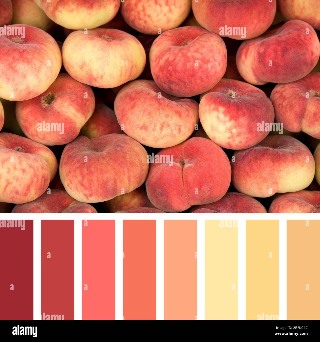 Le beignet frais peache la palette de couleurs d'arrière-plan avec des nuances gratuites. Banque D'Images