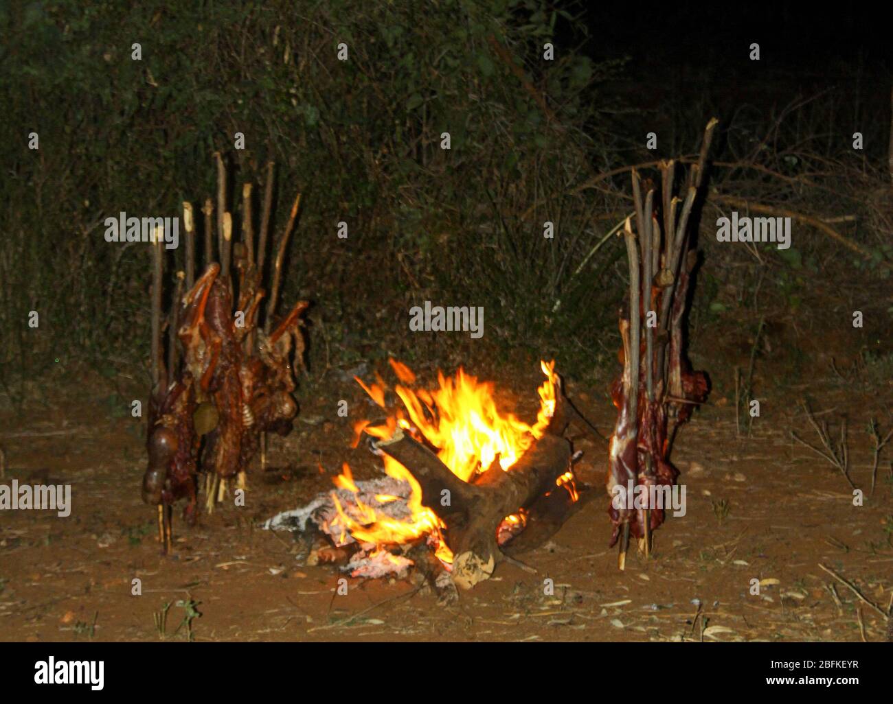 Cuisson de la viande sur des piquets devant un feu ouvert photographié dans un village de Hamar dans la vallée de la rivière Omo, en Ethiopie Banque D'Images