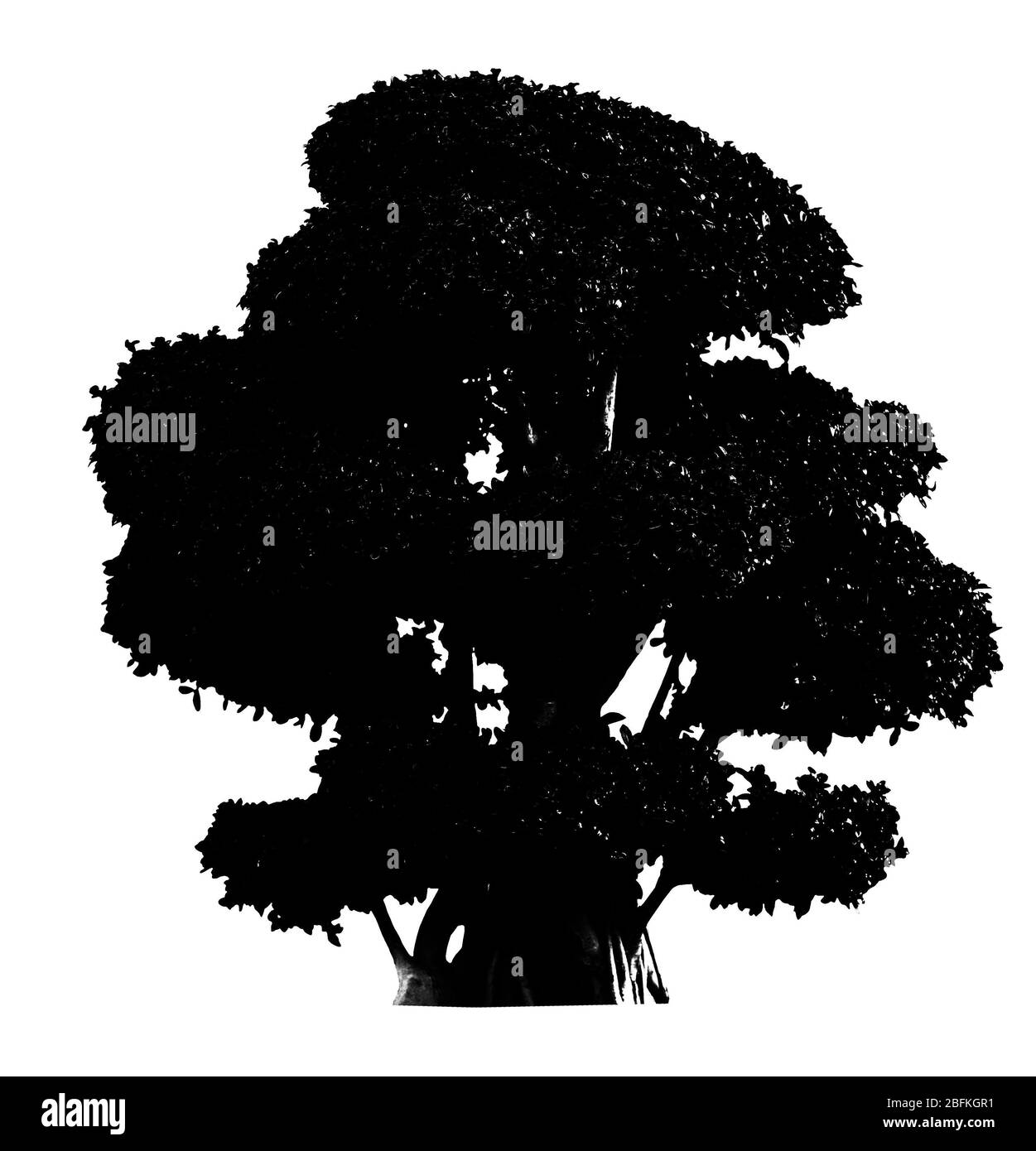 Silhouette d'arbre noir, isolée sur blanc Banque D'Images