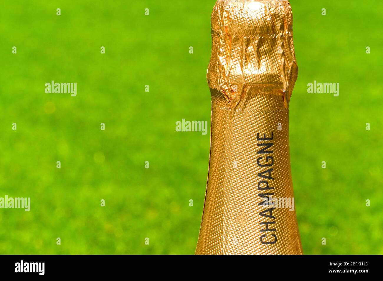 Col recouvert de feuilles d'or d'une bouteille de champagne non ouverte sur fond vert Uni. Espace de copie restant. Banque D'Images