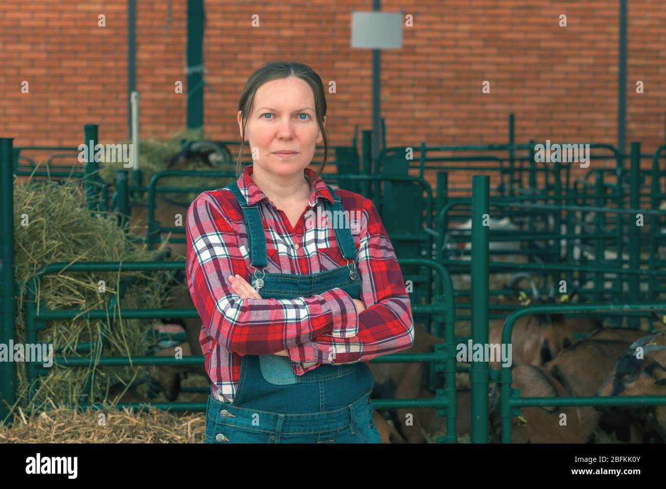 Female farmer posing on goat farm en face de l'goatpen Banque D'Images